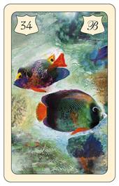 Lenormand Karte 34: Fische – Brittas Wahrsagekarten